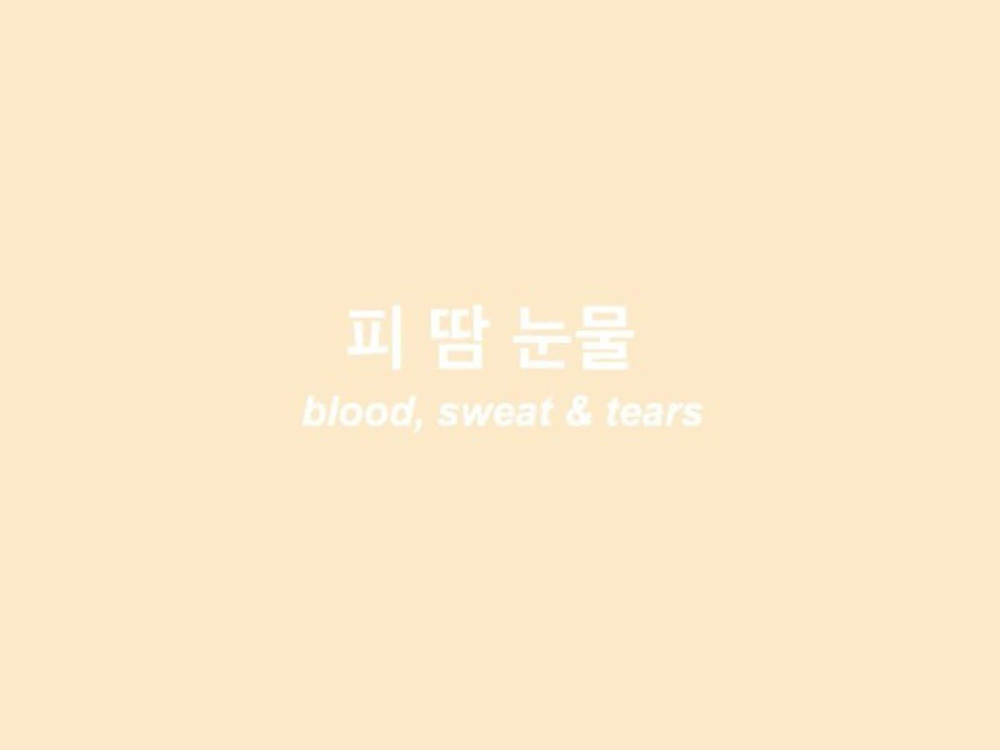 Korean Aesthetic Beige Computer Wallpaper