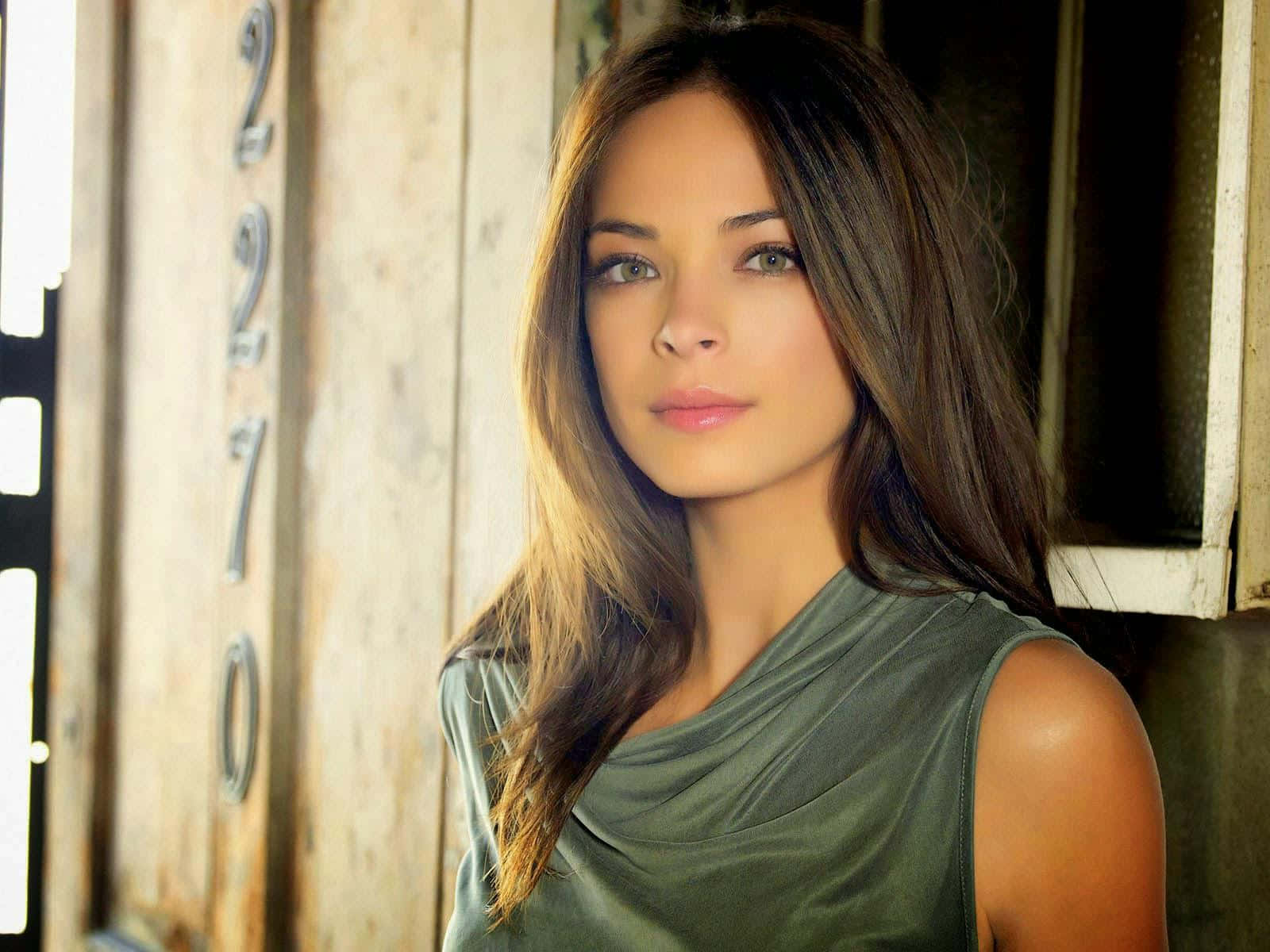 Kristin Kreuk Portraitin Sunlit Room Wallpaper