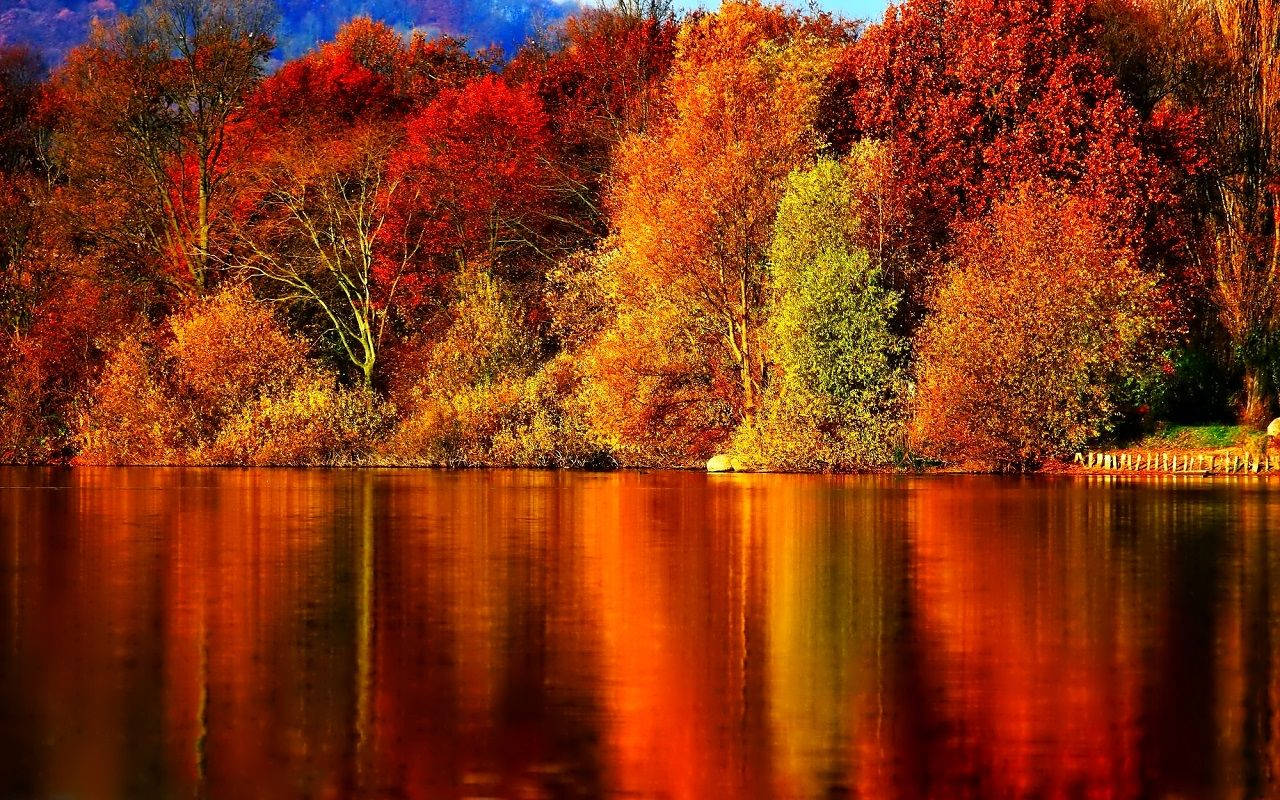 Lake On Fall Wallpaper