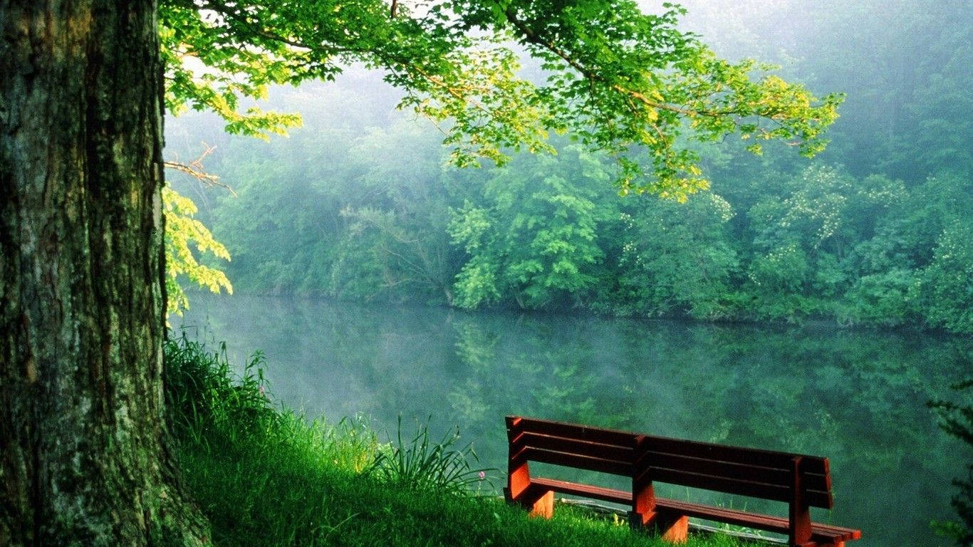 Lakeside Bench Nature Desktop Wallpaper