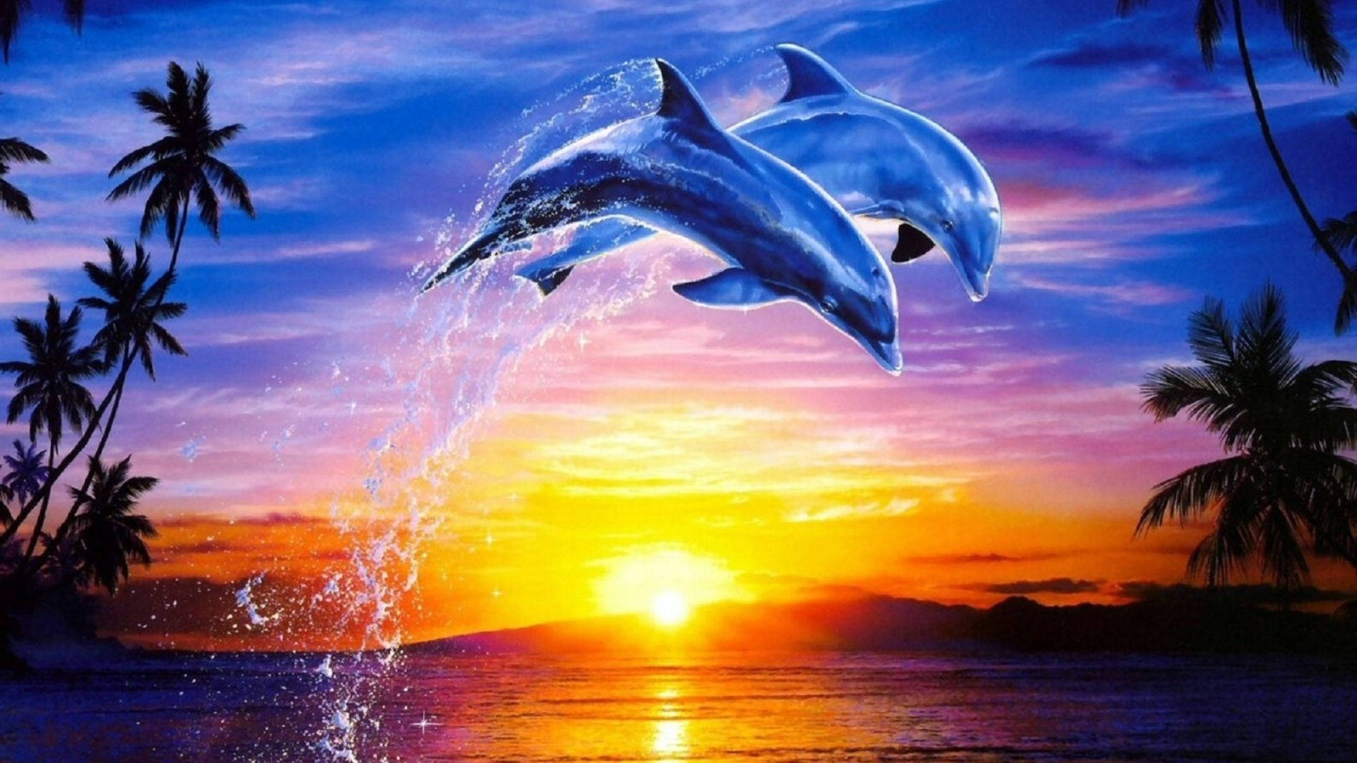 Dolphin Wallpapers | WallpapersOK