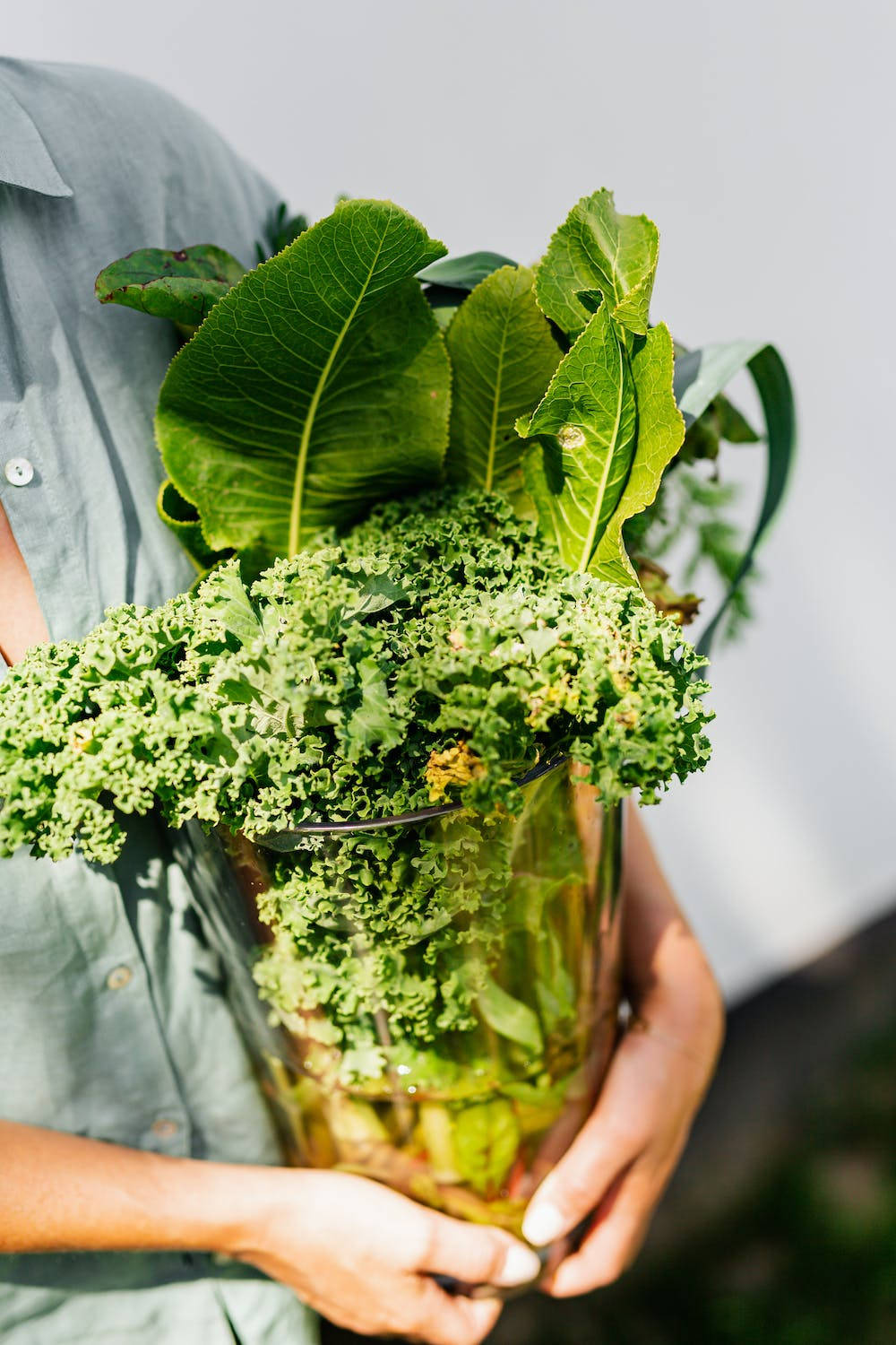 Lettuce On Vase Wallpaper