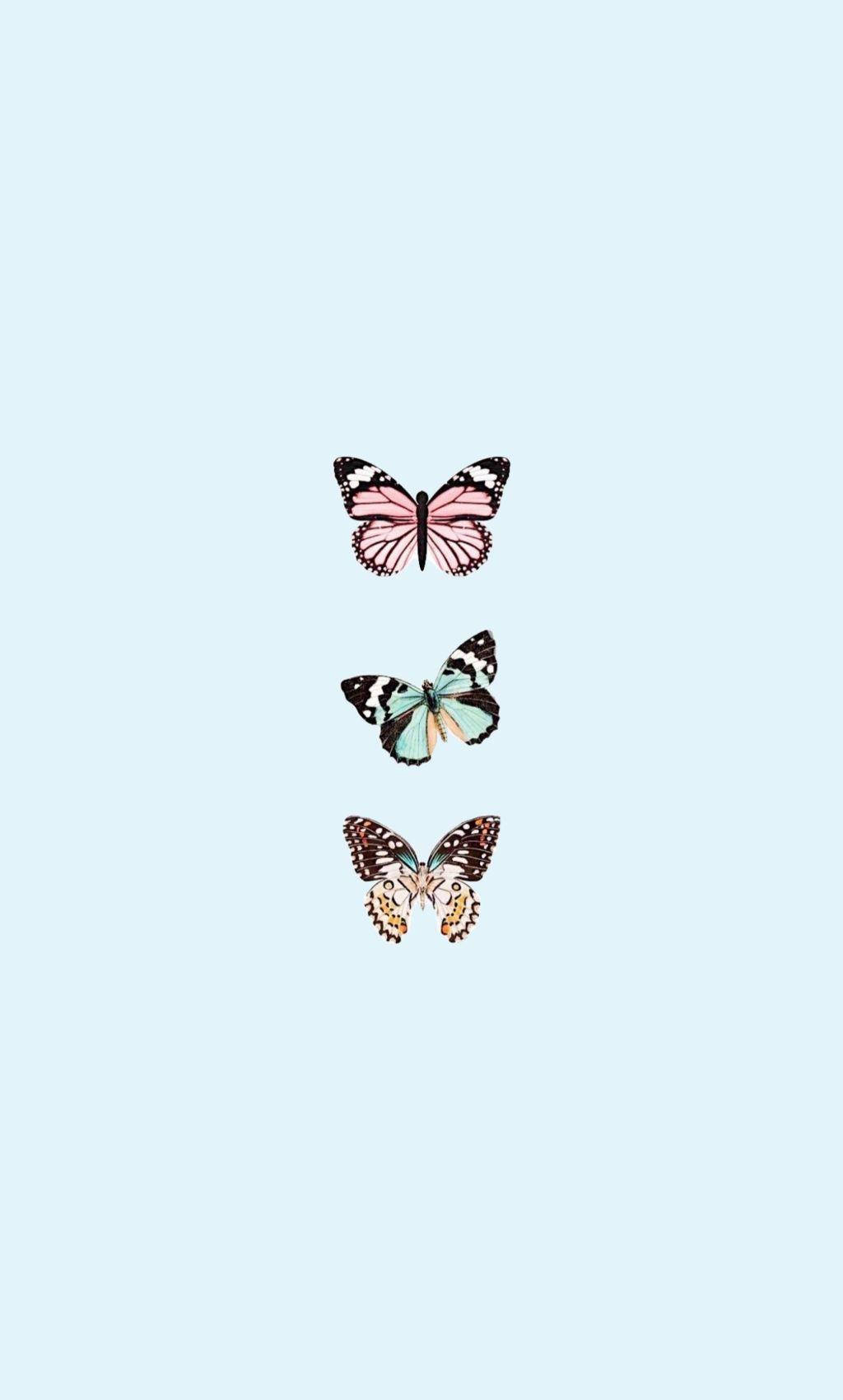 Light Blue Butterfly Aesthetic Wallpaper