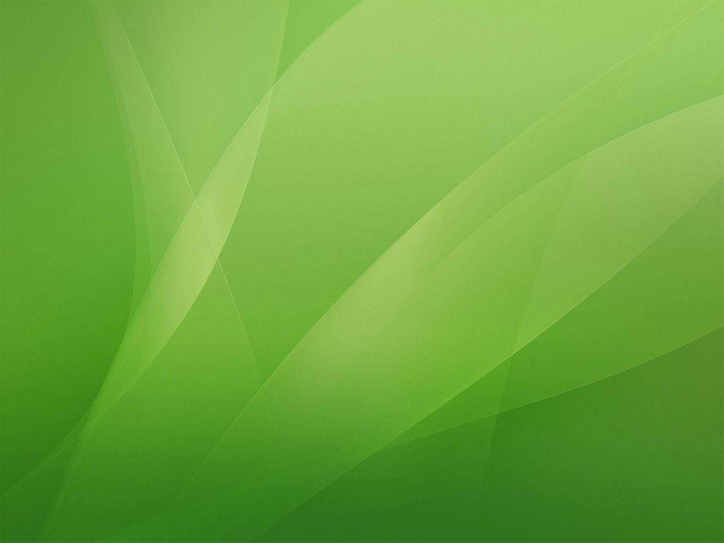 Light Green Plain Abstract Wallpaper