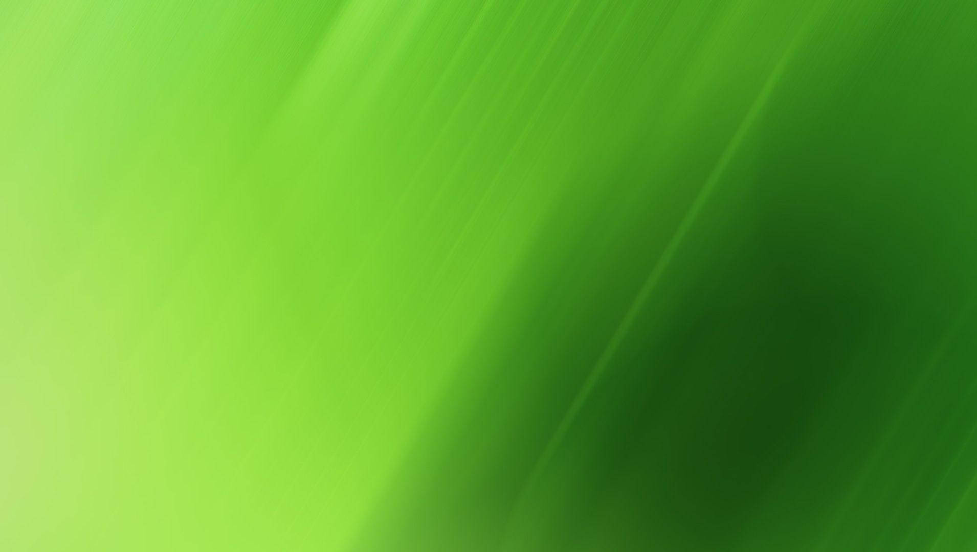 Light Green To Dark Wallpaper