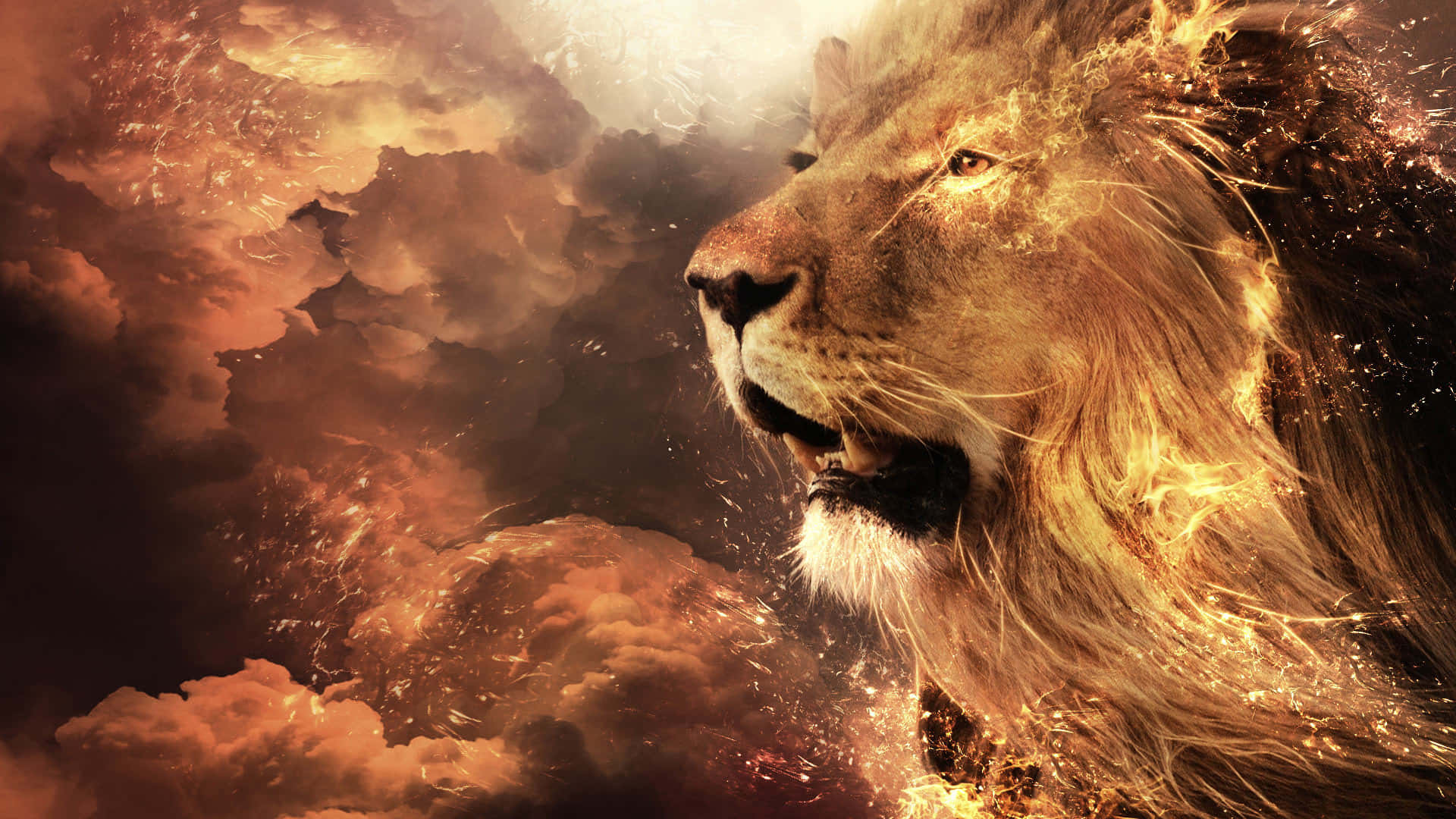 Lion Face Fiery Art Wallpaper