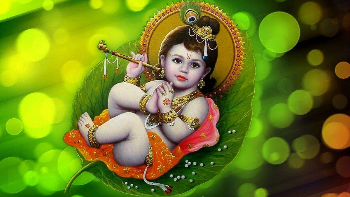 Little Krishna Hd On Leaf Wallpaper