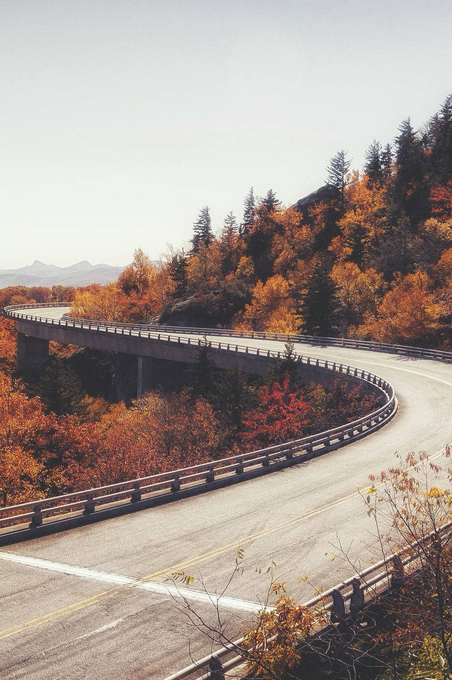 Long Bridge Nature View Fall Iphone Wallpaper