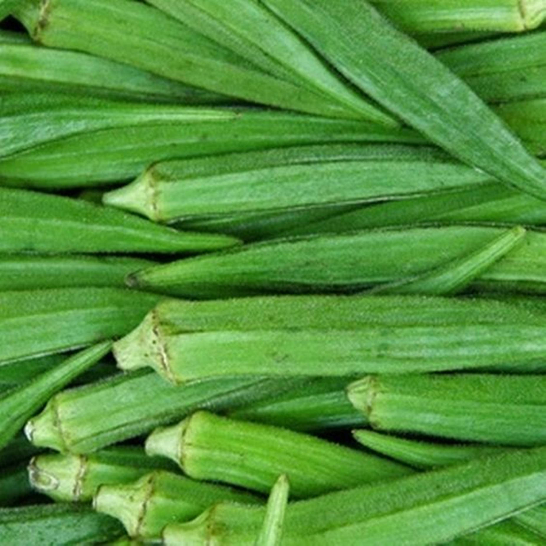 Long Okra Vegetables Wallpaper