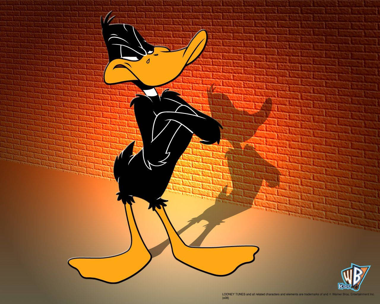 Looney Tunes Cartoon Daffy Duck Wallpaper