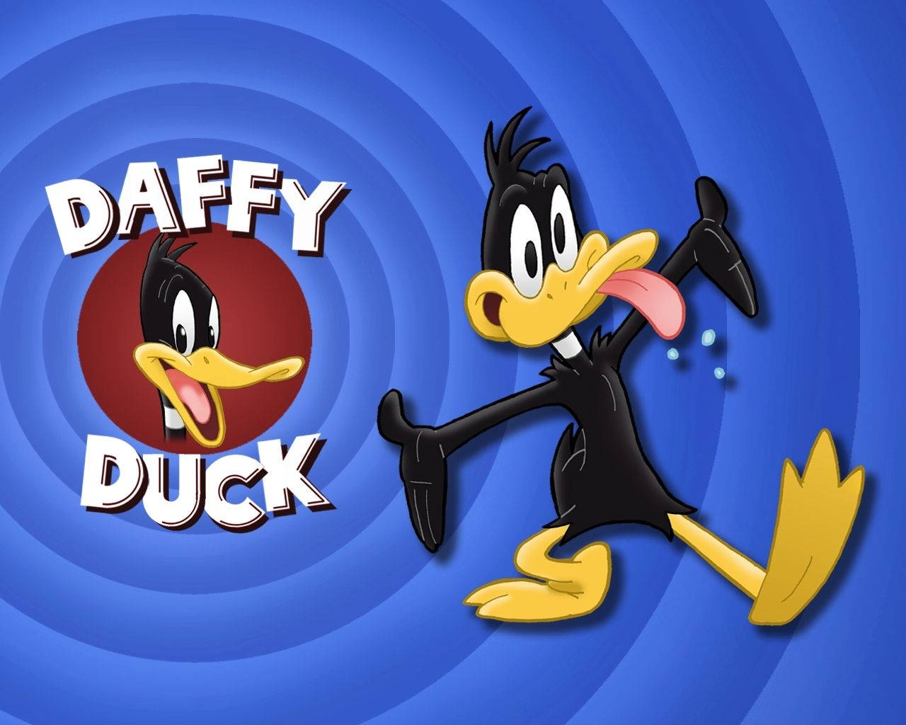 Looney Tunes Daffy Duck Cartoon Cover Wallpaper