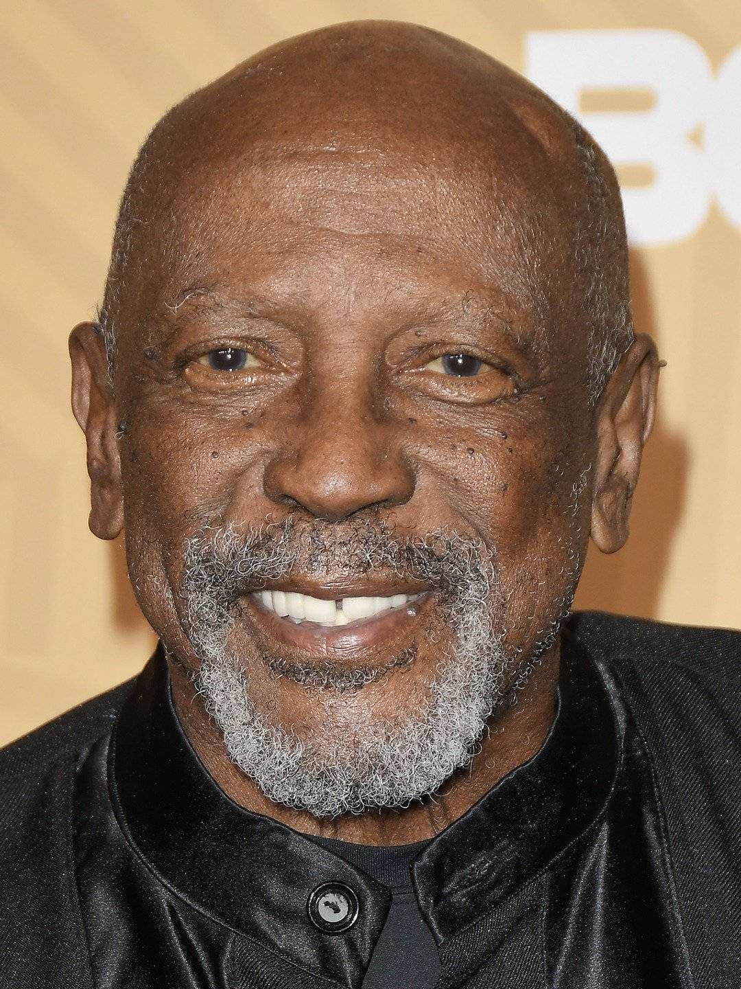 Louis Gossett Jr. At American Black Film Festival Wallpaper