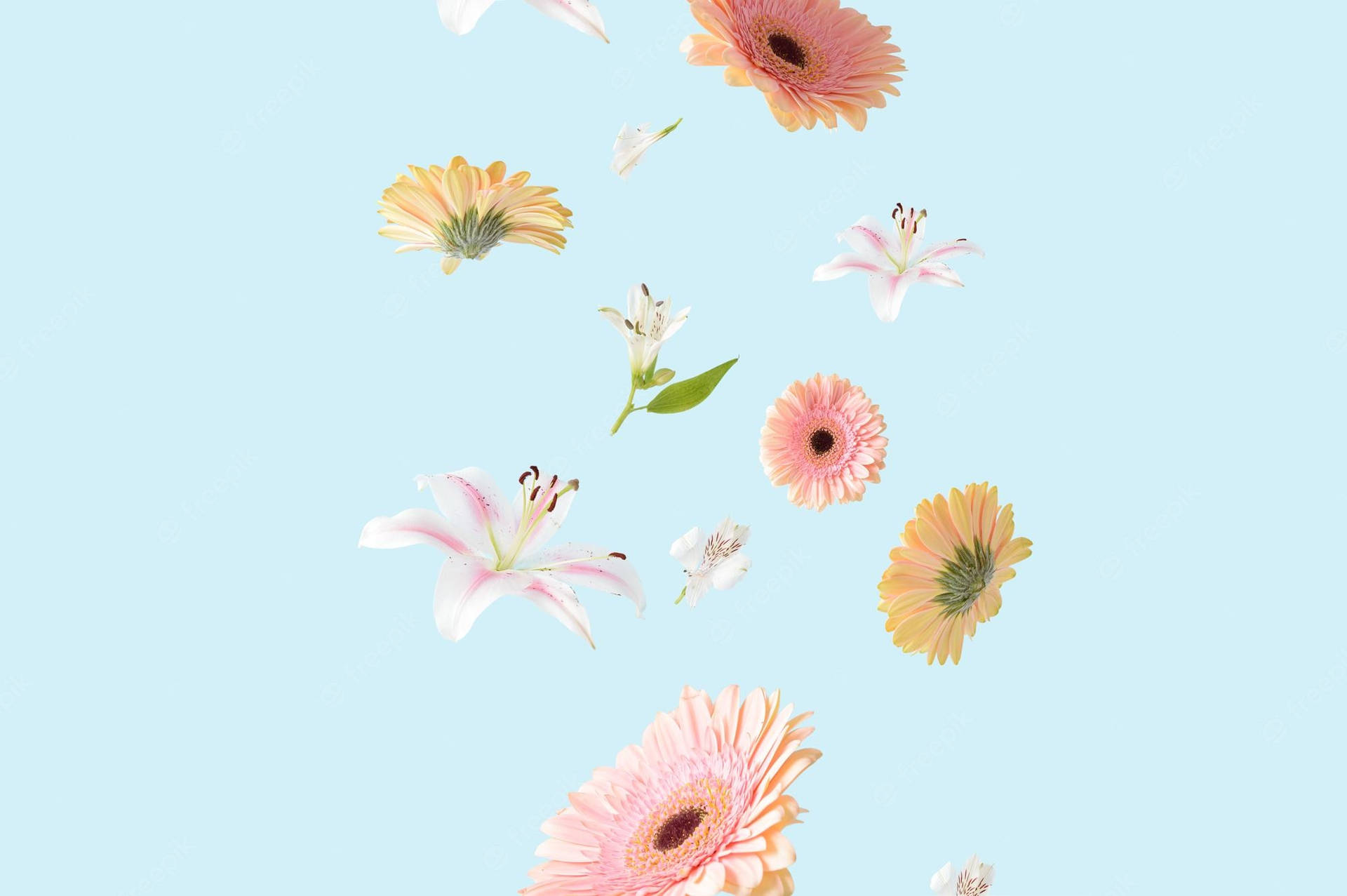 Lovely Aesthetic Spring Iphone Theme Wallpaper