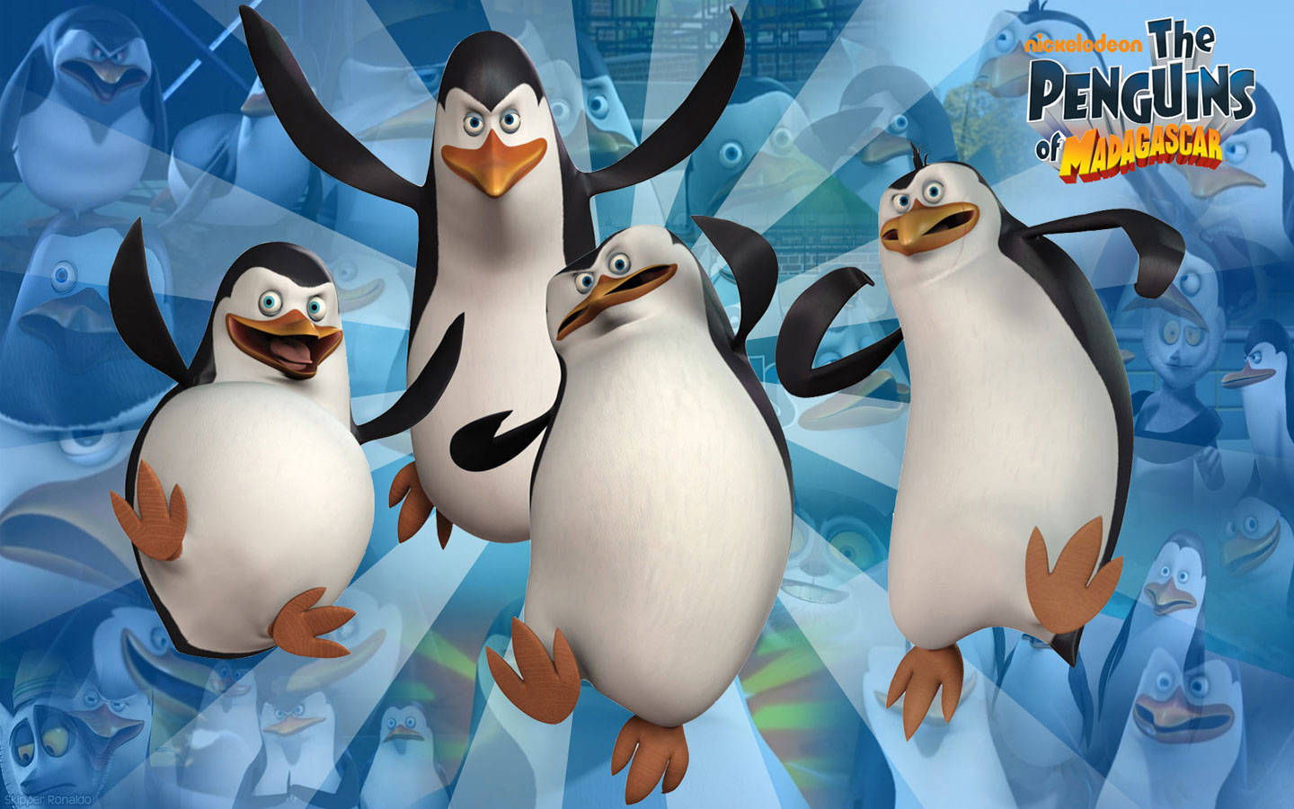 Madagascar Jumping Penguins Wallpaper