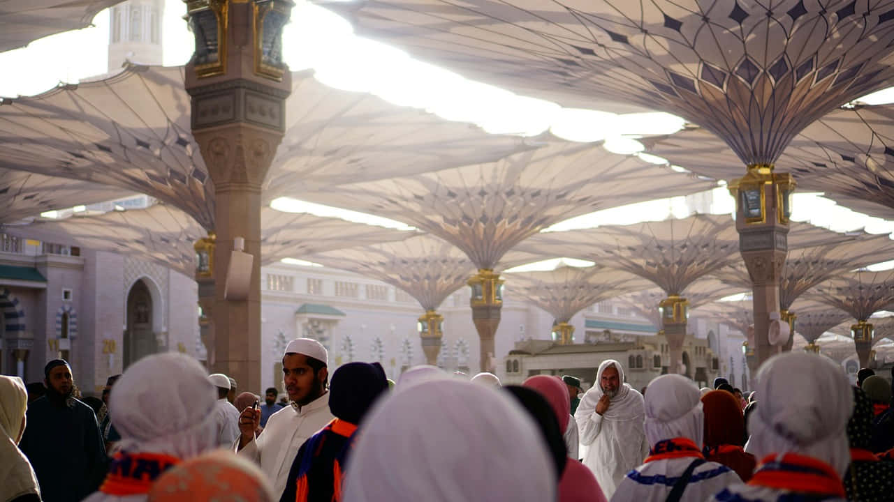 Madina_ Umbrellas_and_ Pilgrims_ H D Wallpaper