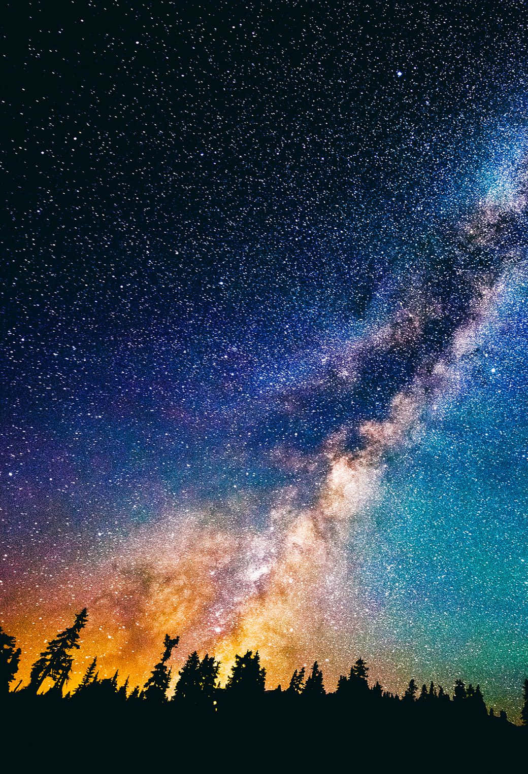 Magical Night Sky With Stars On Top Of Forest Trees Wallpaper