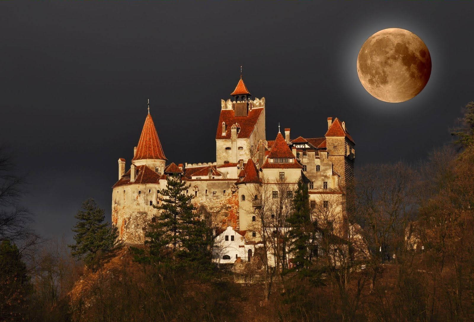 Majestic Bran Castle At Night, Romania Wallpaper