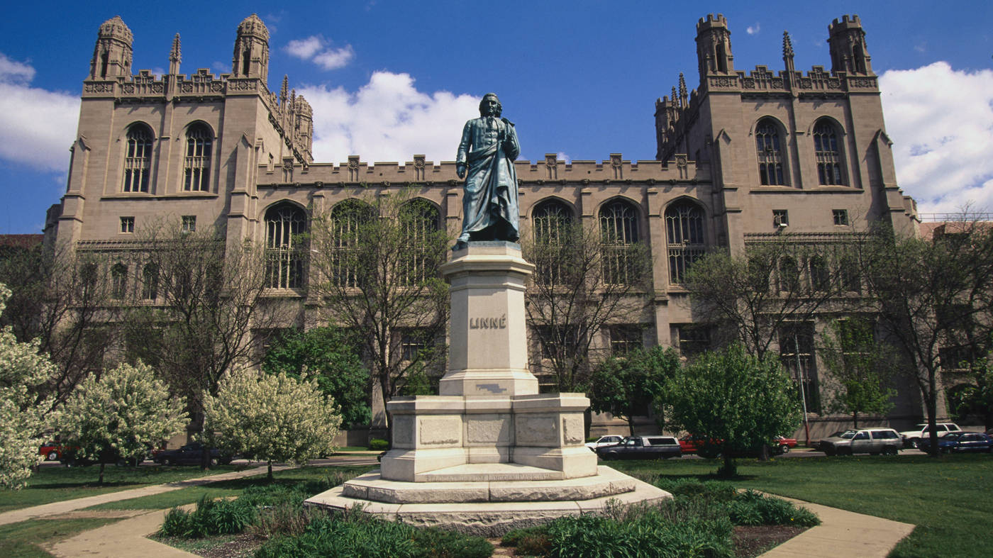 Majestic Infrastructure Of The University Of Chicago Wallpaper