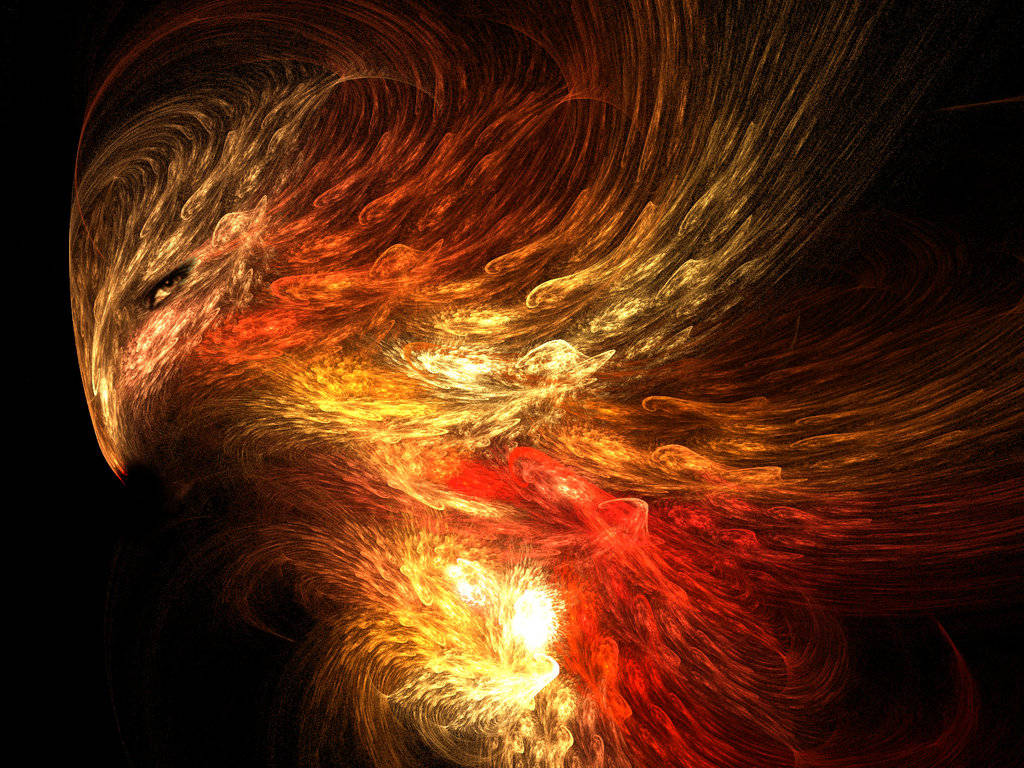 Majestic Phoenix Fire Wings Wallpaper