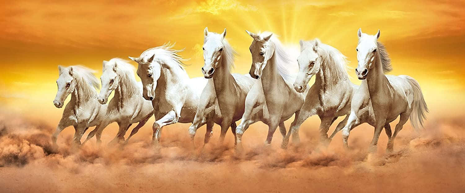 Majestic Seven Horses Galloping Wallpaper