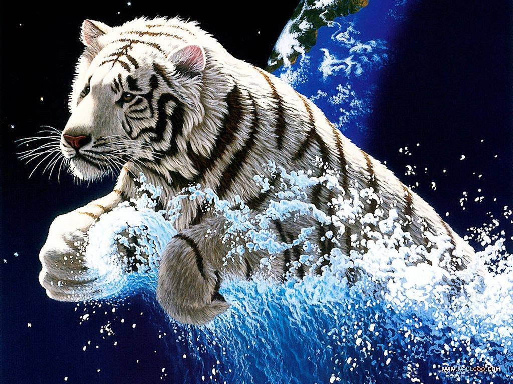 Majestic White Tiger Stands Atop A Rock Wallpaper