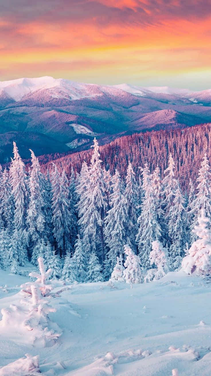 Majestic Winter Landscape Wallpaper