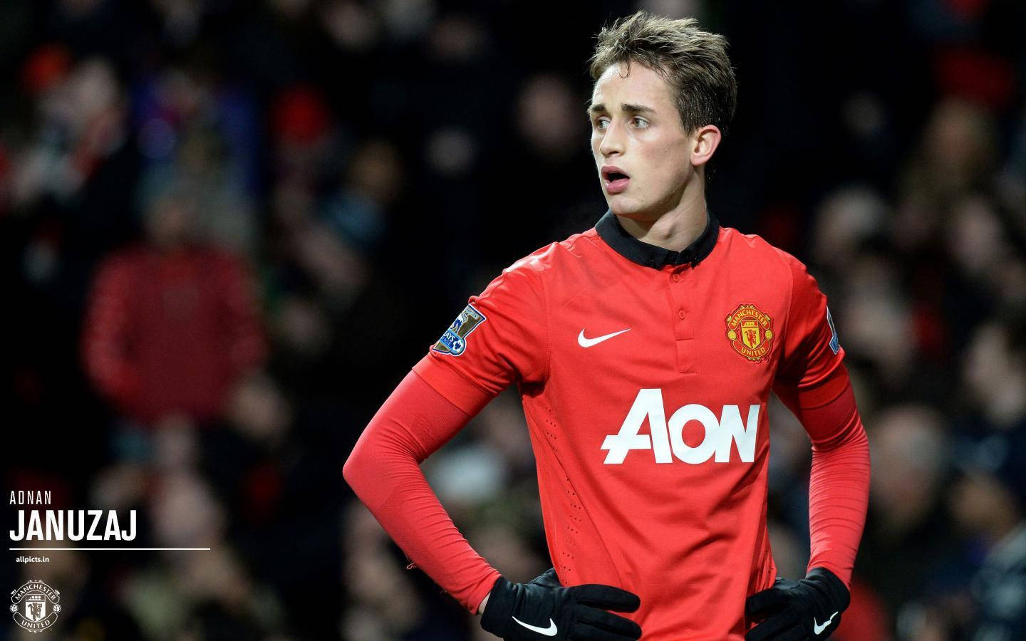 Manchester United Players Spotlight: Adnan Januzaj Wallpaper