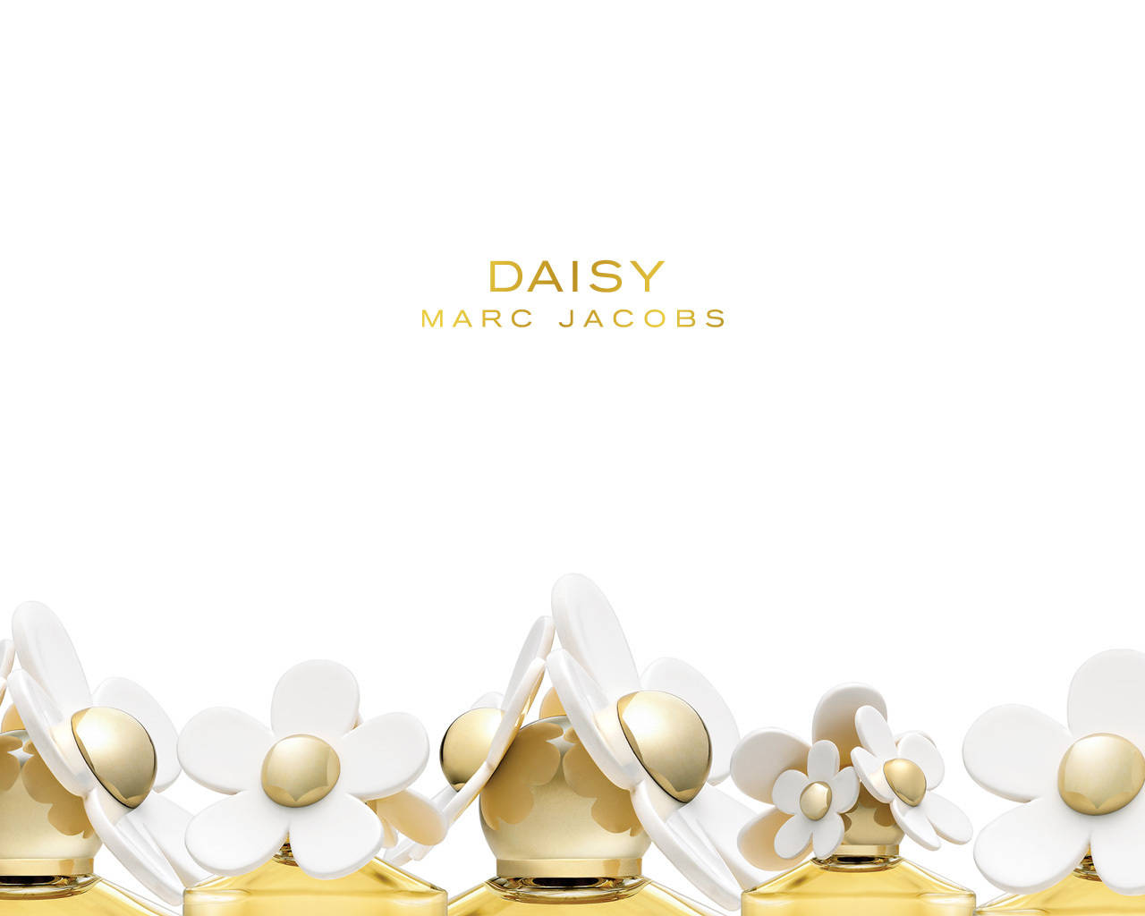 Marc Jacobs White & Gold Daisy Variant Wallpaper