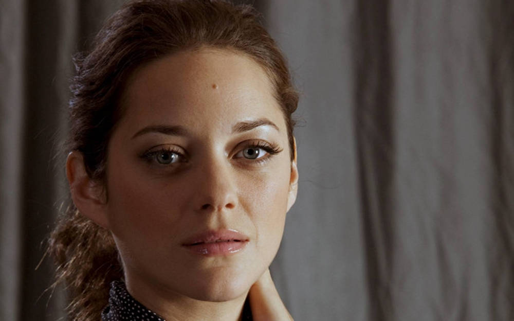 Marion Cotillard Beautiful Eyes Wallpaper