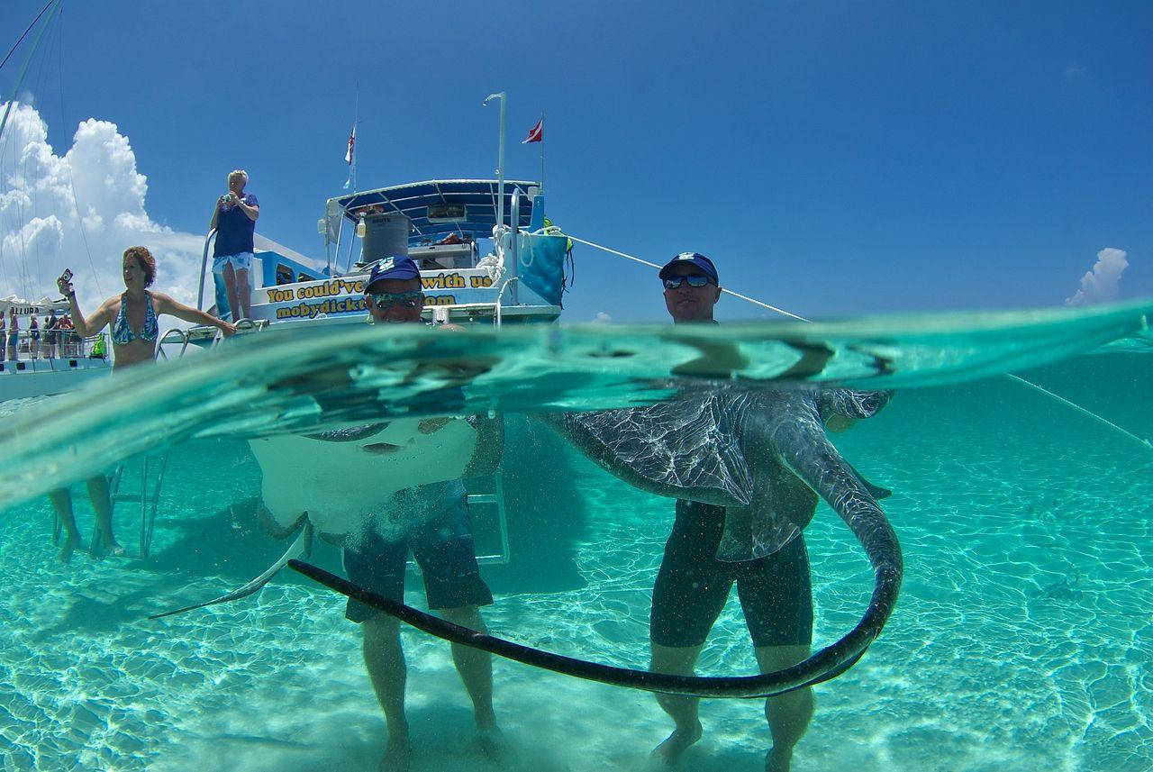 Marshall Islands Stingray With Fishermen Wallpaper