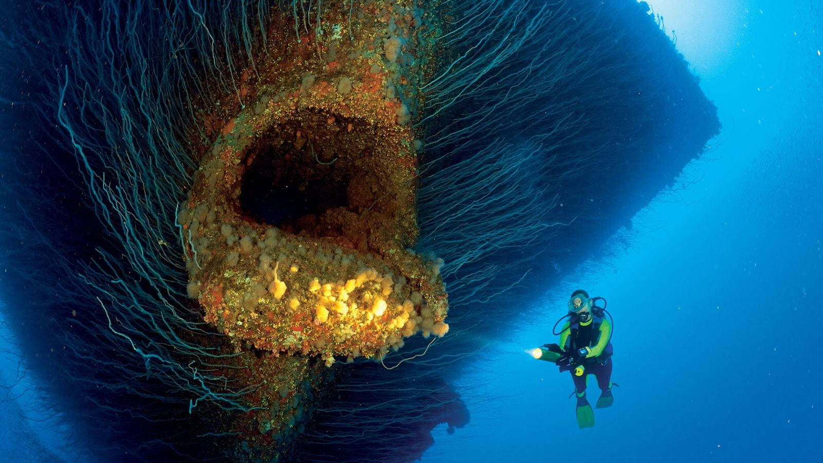 Marshall Islands Uss Saratoga And Diver Wallpaper