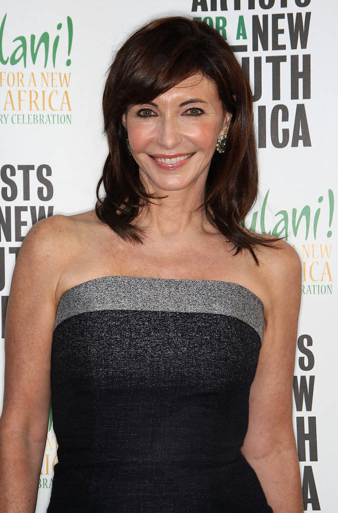 Mary Steenburgen Charity Event Wallpaper