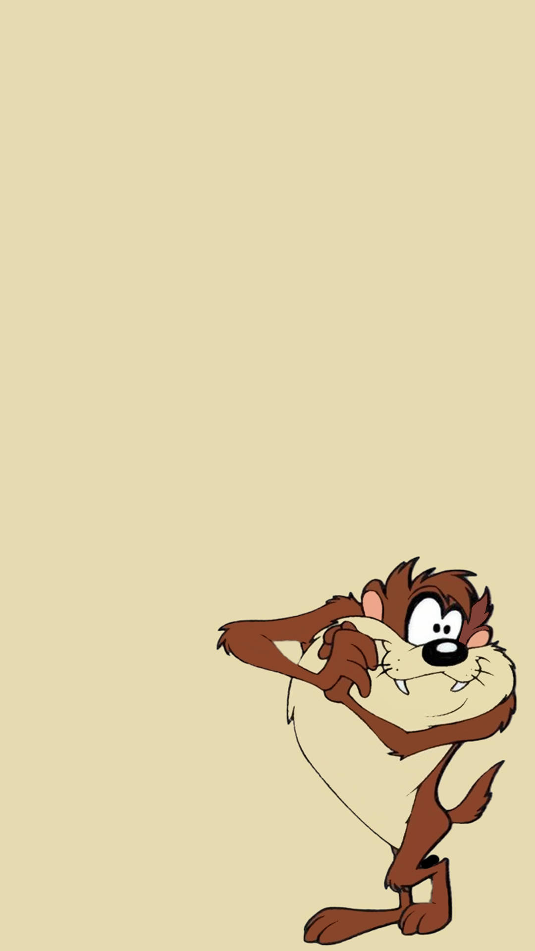 Matching Tasmanian Devil Wallpaper