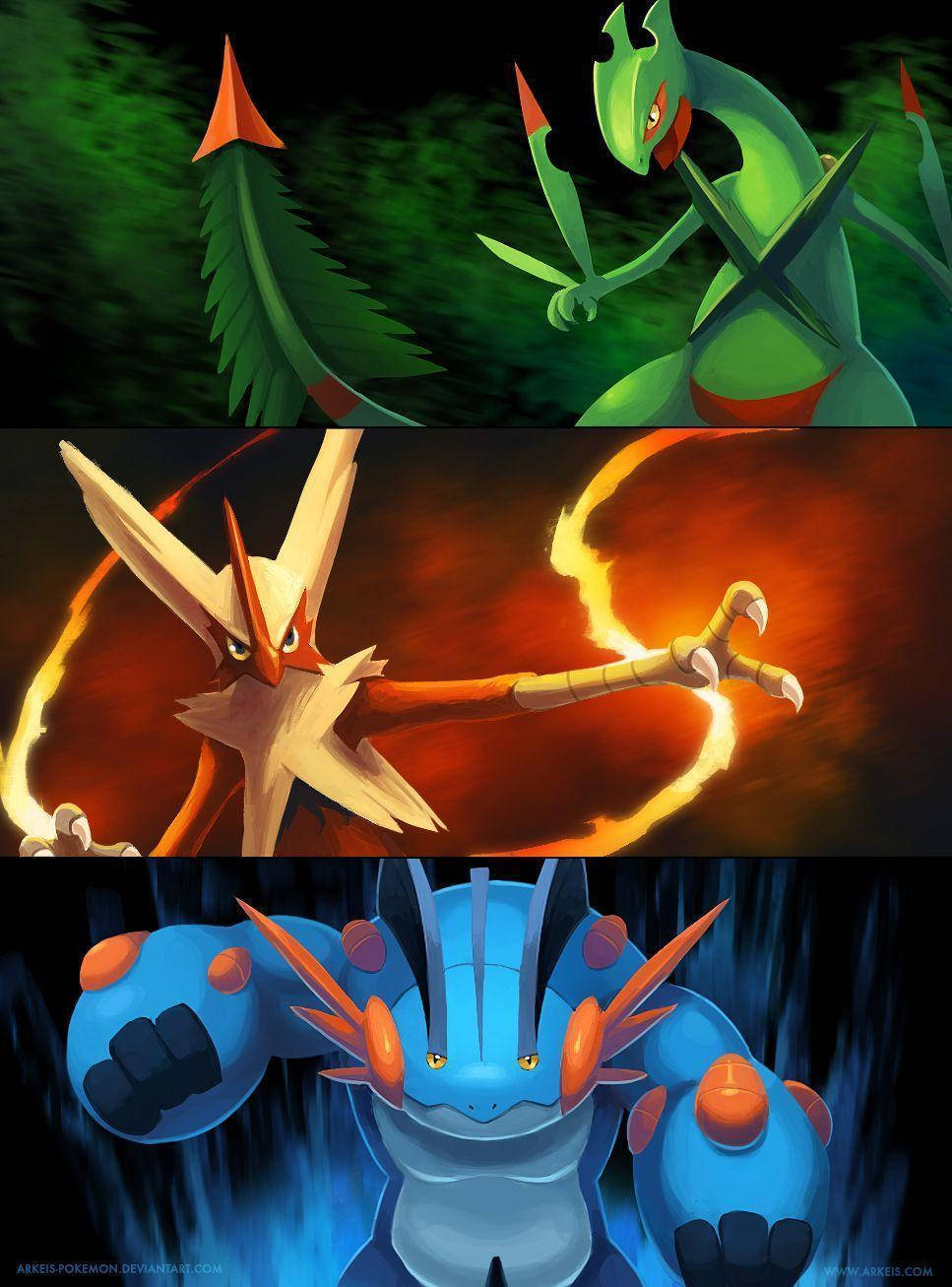 Mega Swampert Elemental Collage Wallpaper