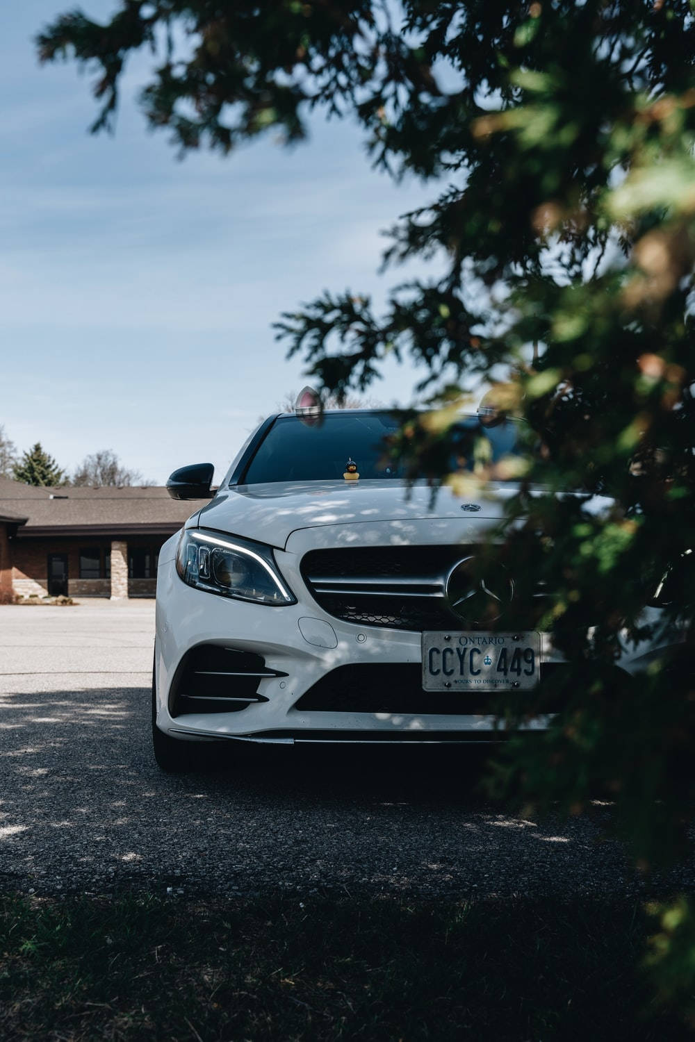 Mercedes Benz C300 Under A Tree Wallpaper