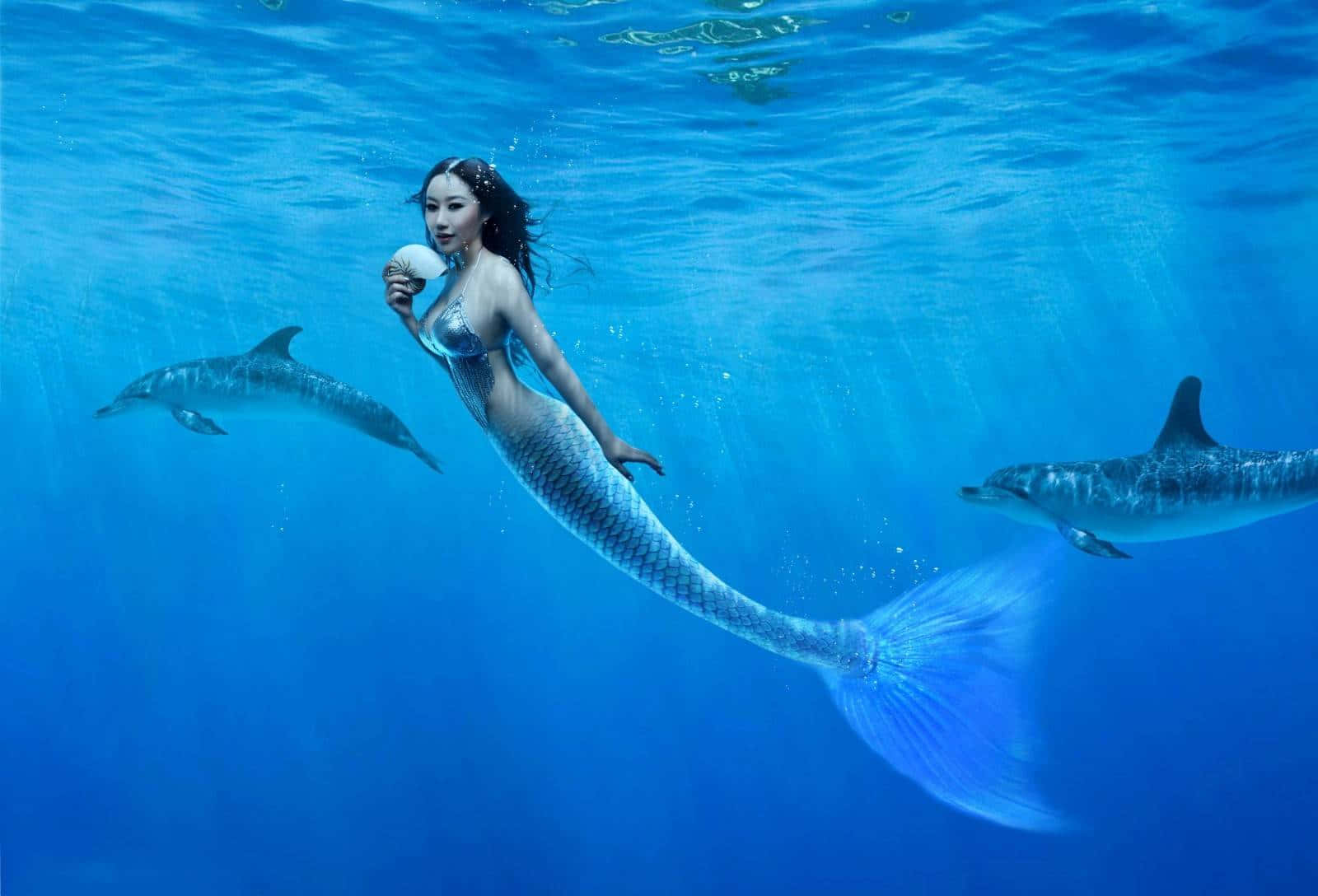 Mermaid With Two Dolphins Wallpaper