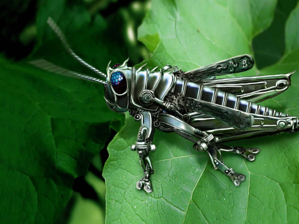 Metallic Green Grasshopper Wallpaper