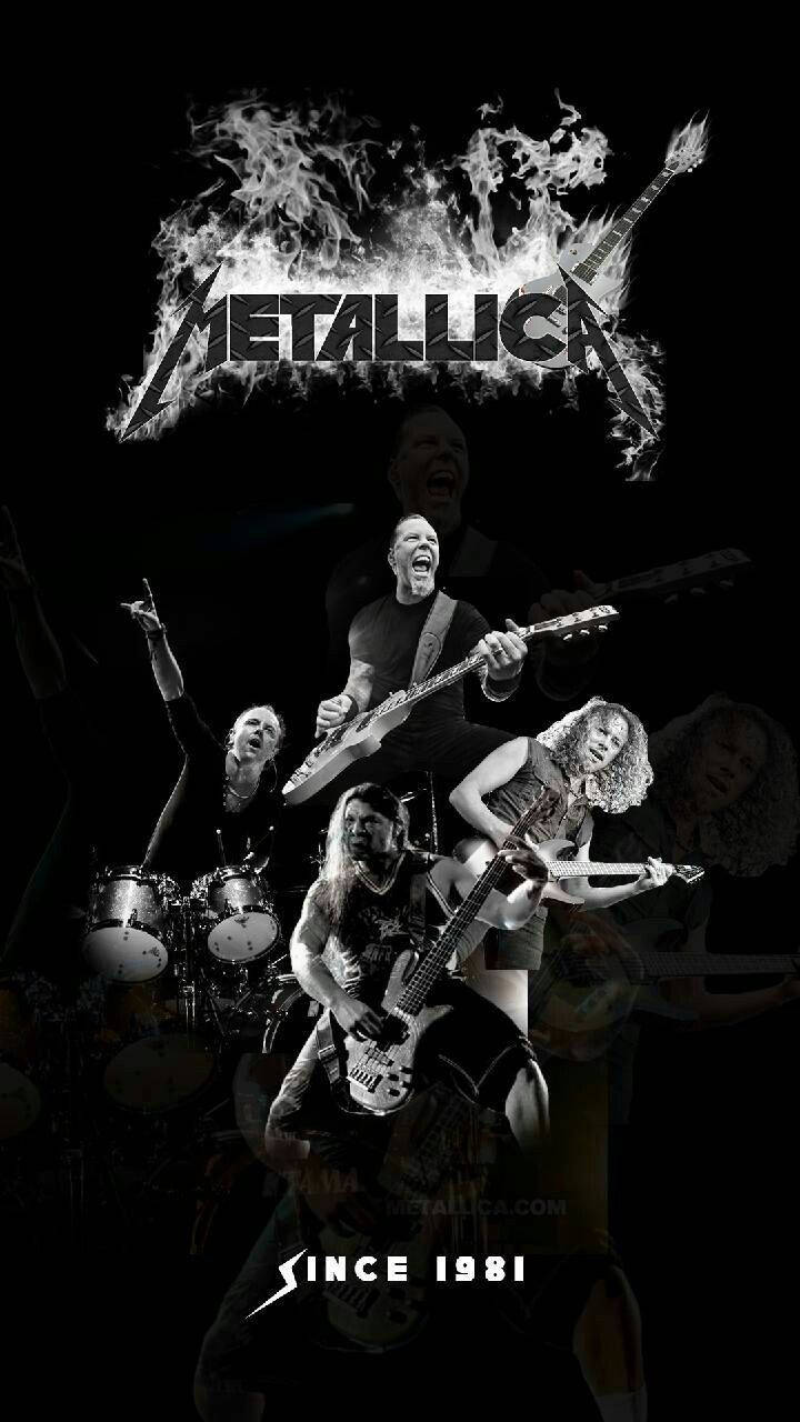 Metallica Since 1981 Wallpaper