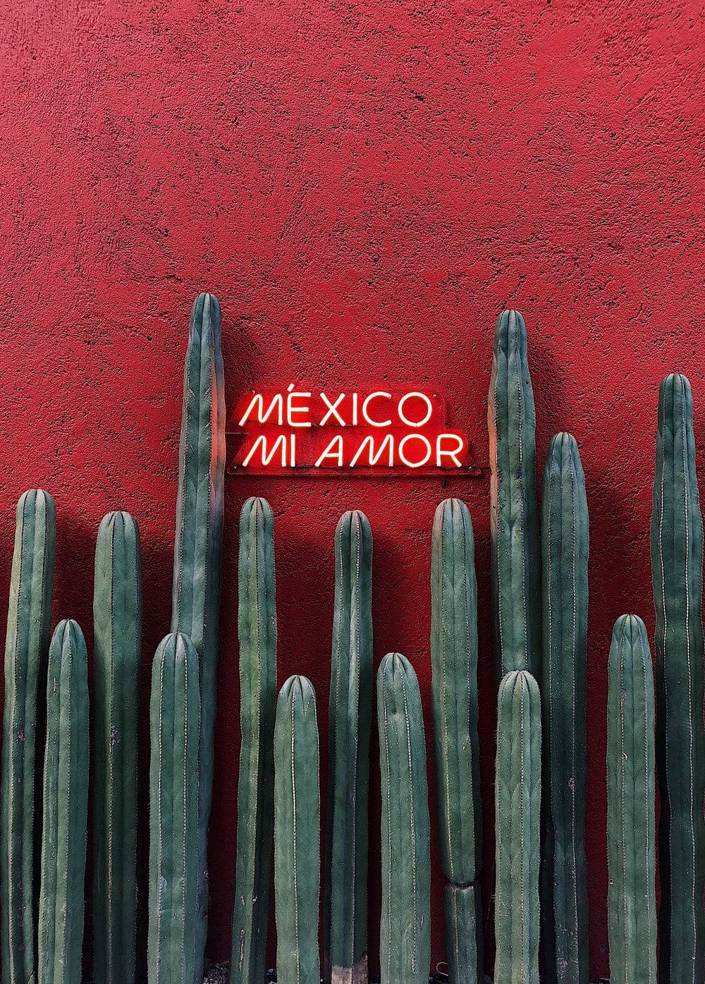 Mexican Mi Amor Neon Light Wallpaper