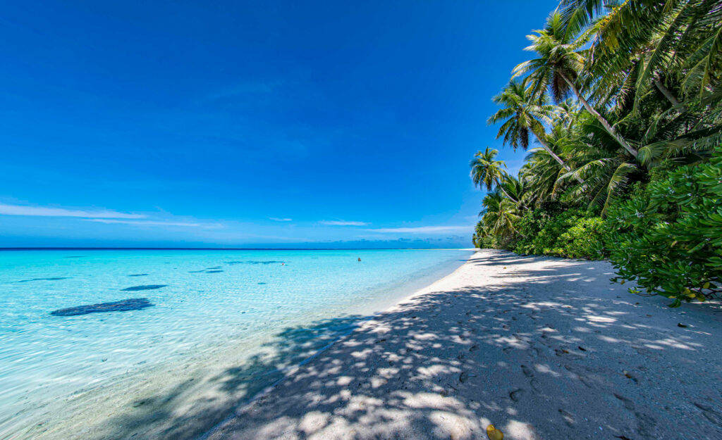 Micronesia White Sandy Beach Wallpaper