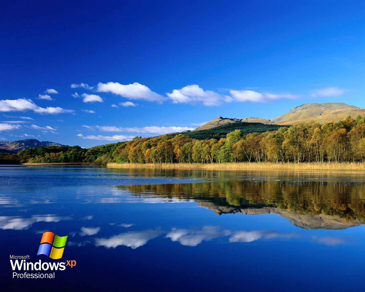 Microsoft Honors The Windows Xp Default Computer Background. Hd Wallpaper