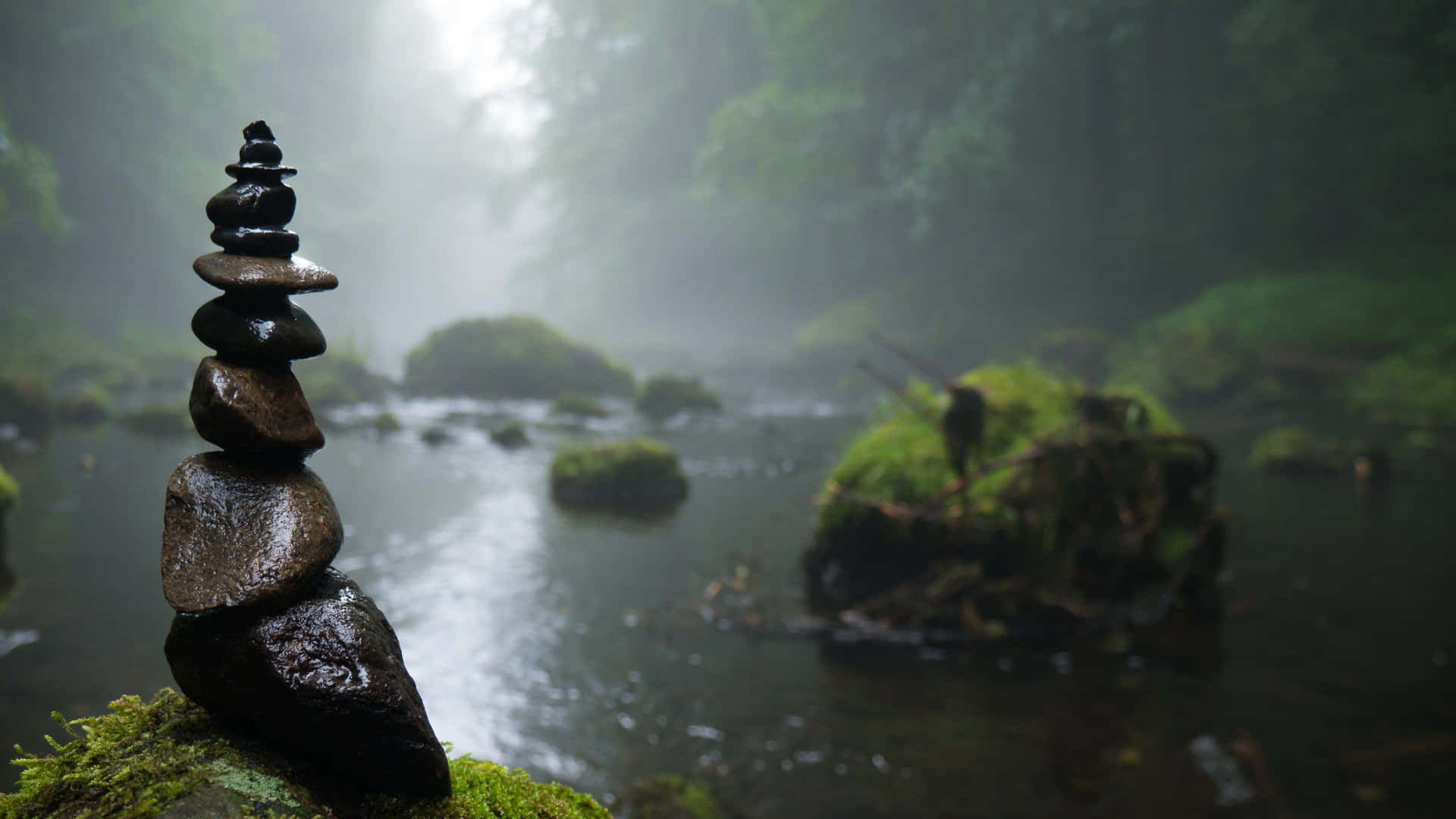 Mindfulness In Foggy Forest Wallpaper