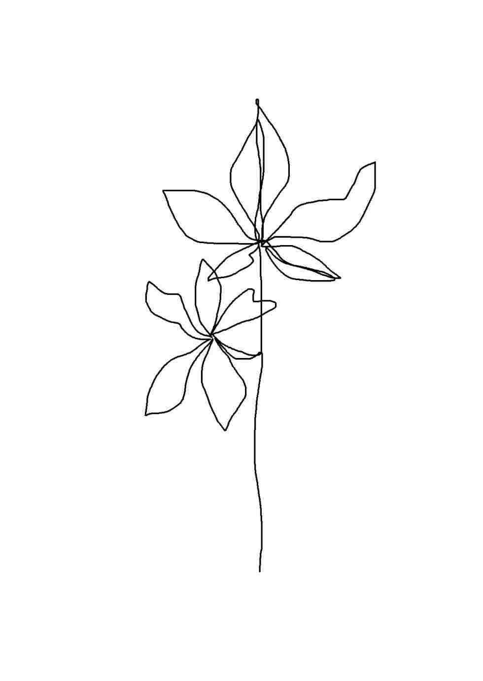 Minimalist Aesthetic Flower Pen Art Wallpaper