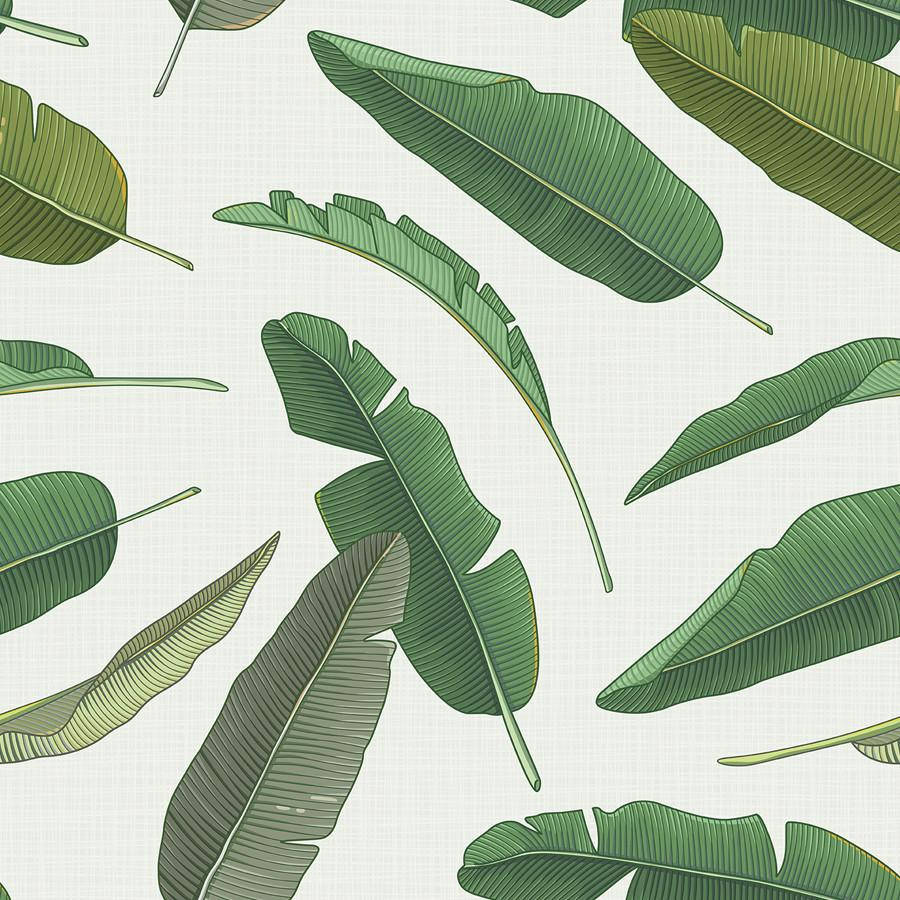 Minimalist Banana Leaf Pattern Wallpaper