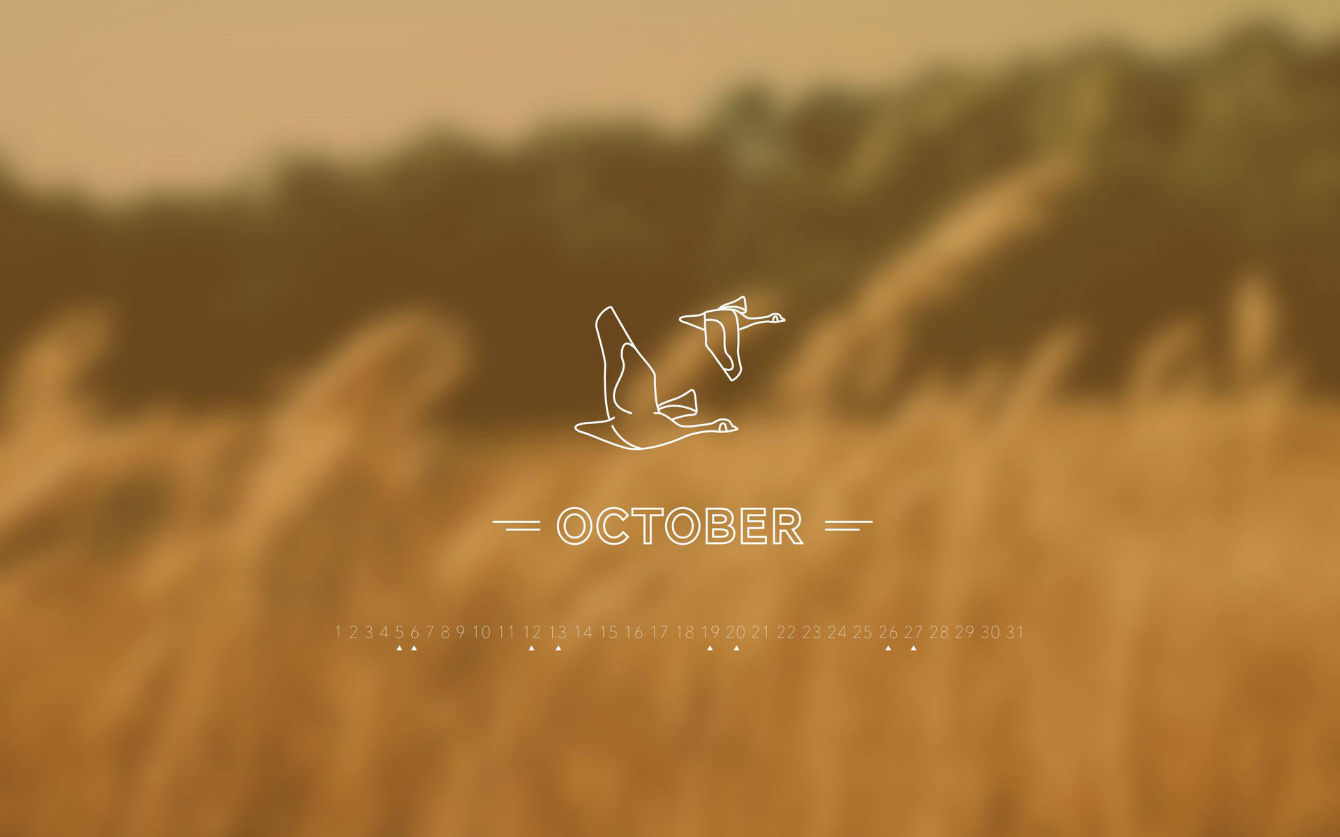 Minimalist Brown October Calendar Wallpaper
