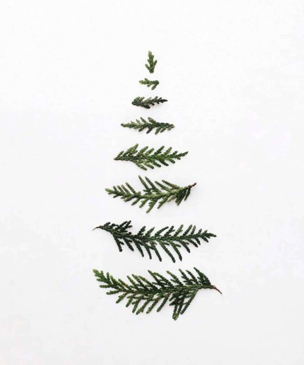 Minimalist Christmas Desktop 1000 X 1200 Wallpaper