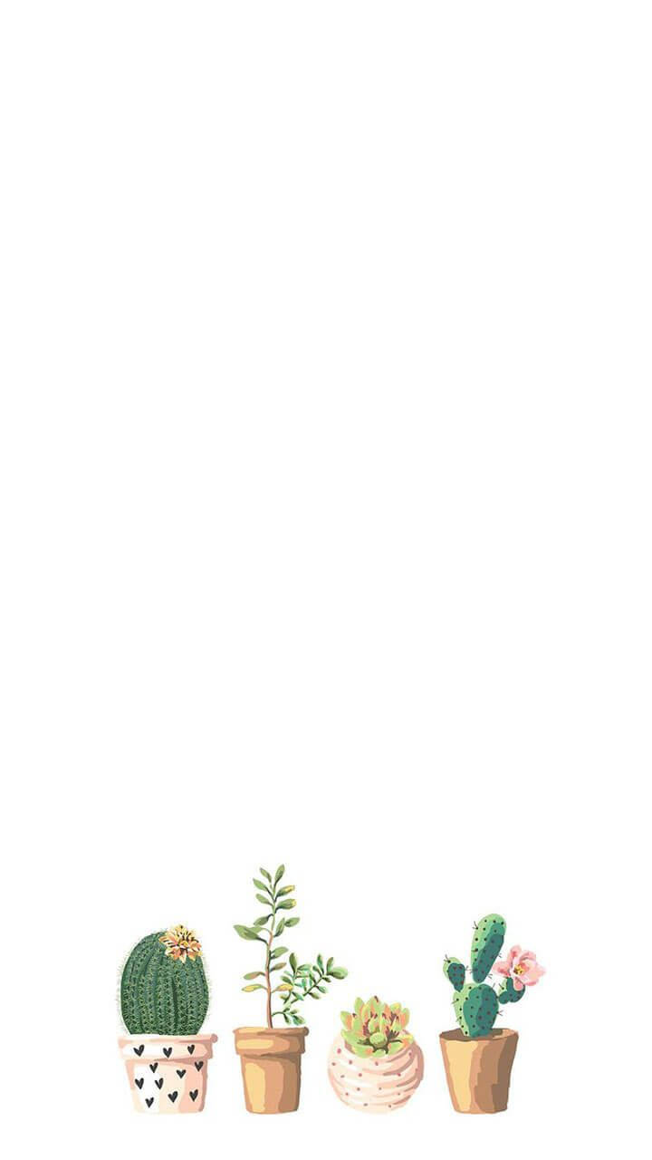 Minimalist Girly Potted Cactus Wallpaper