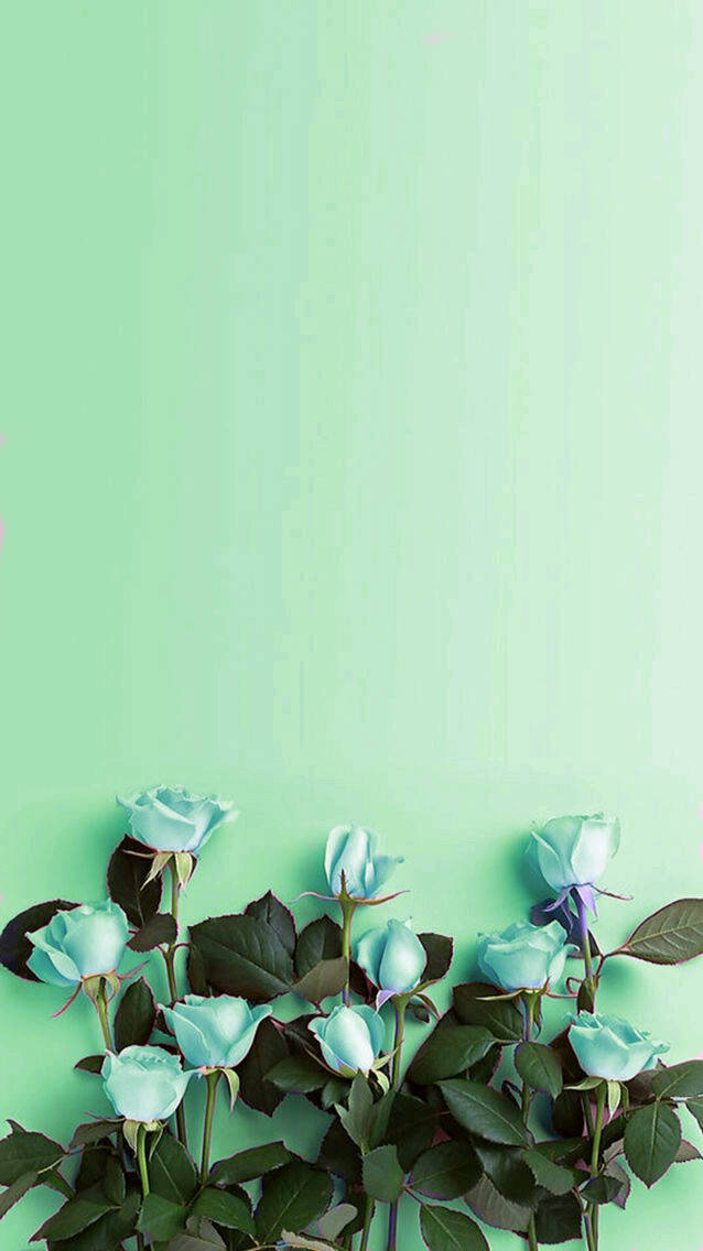Mint Green Roses Flat Lay Wallpaper