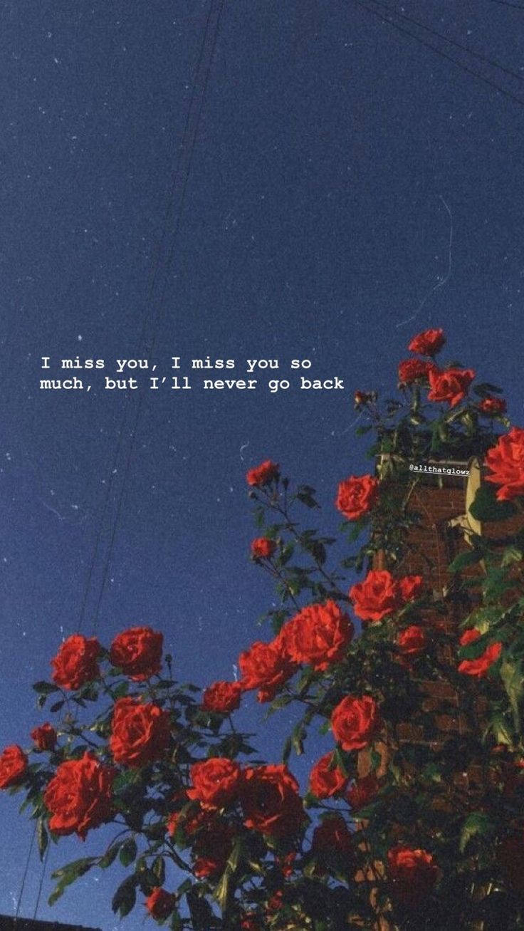 Missing You But Never Going Back Wallpaper