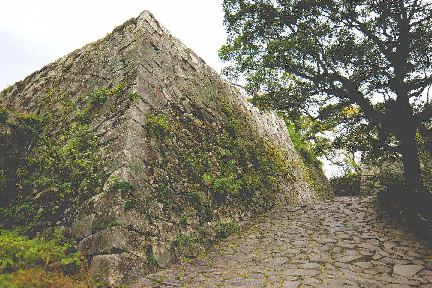 Misty Fukuoka Castle Wallpaper